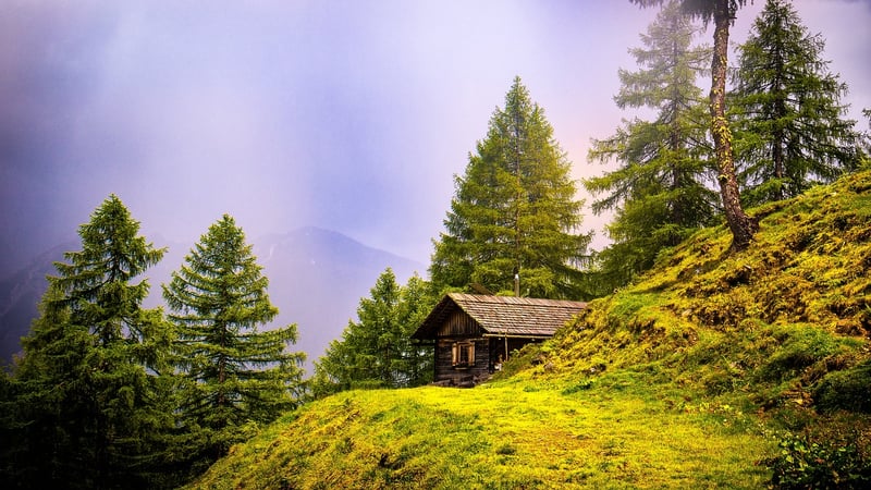 Cozy Cabin in the Mountains